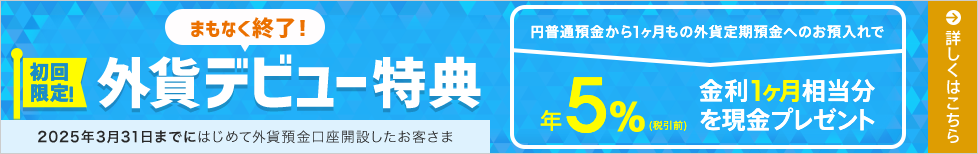 初回限定！外貨デビュー特典