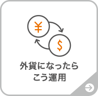 外貨になったらこう運用