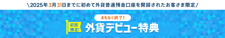 ＼2025年3月31日までに初めて外貨普通預金口座を開設されたお客さま限定／