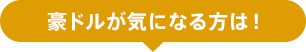 豪ドルが気になる方は！