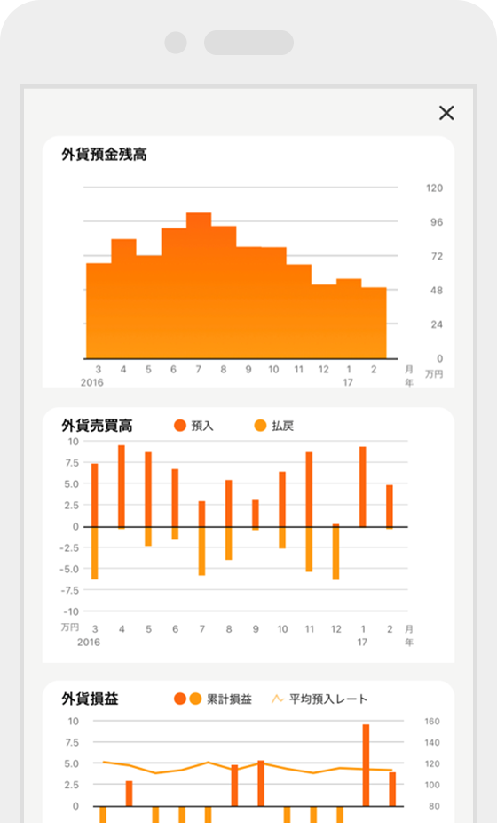 外貨損益表示機能