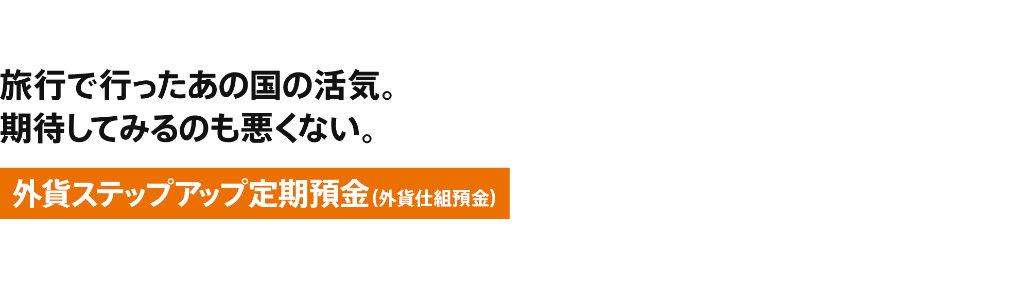 [外貨ステップアップ定期預金（外貨仕組預金）] 旅行で行ったあの国の活気。期待してみるのも悪くない。