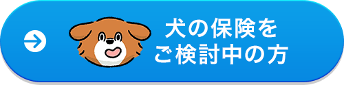 犬の保険をご検討中の方はこちら